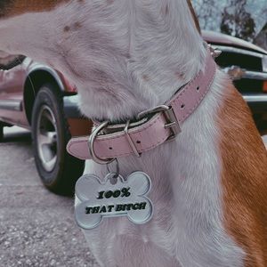 Meet your Posher, Jordan